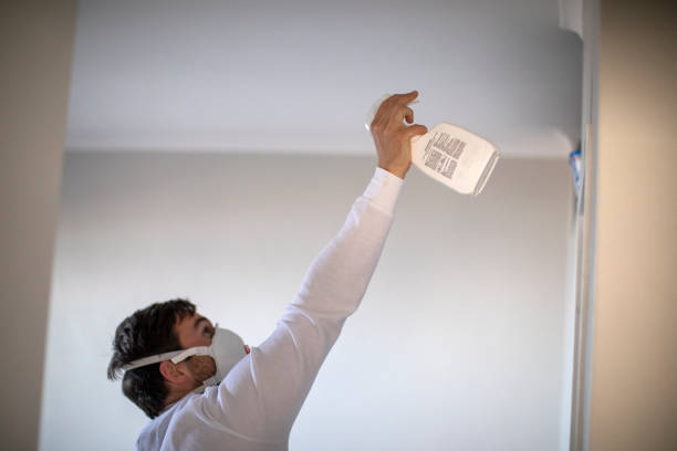 Best Commercial Mold Removal  in Staples, MN